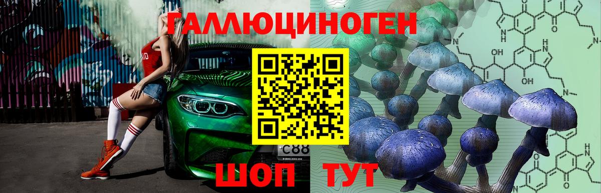 Дмитров  Галлюциногенные грибы Magic Shrooms  Вход с VPN  Галлюциногенные грибы мицелий 